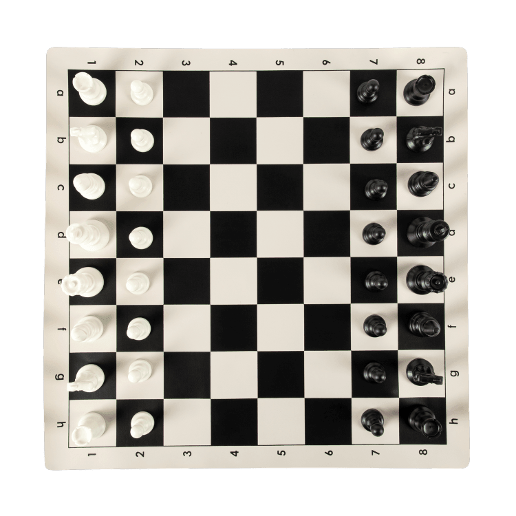 Portable Tournament Chess Set in Canvas Bag - Chess District